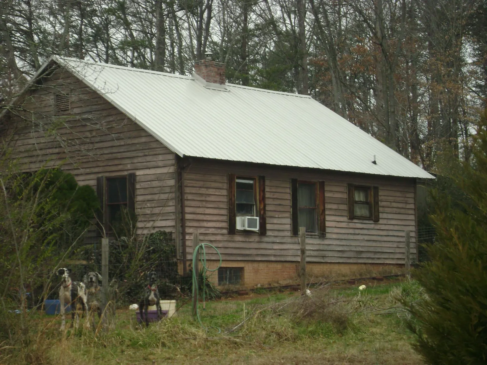 White metal roof on an old wood sided farmhouse, from a Metal Roof Installation job in Fidelity